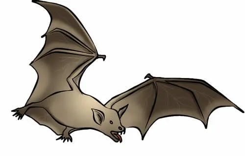 Clipart:H80clp349va= Bat