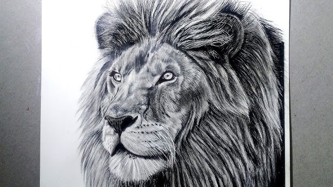 Drawing:Aahhn84abxq= Lion