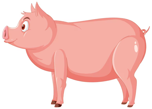 Clipart:Mxdzqqtke6e= Pig 