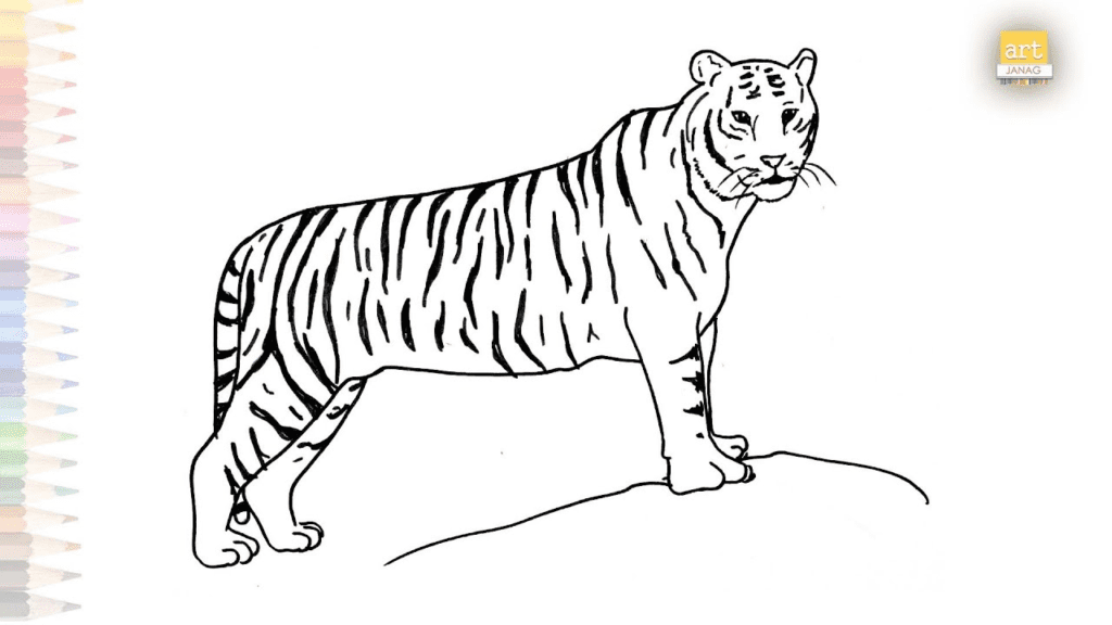 Drawing:Xms2zhd83gq= Tiger