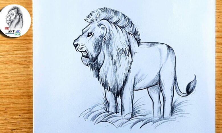 Drawing:Aahhn84abxq= Lion