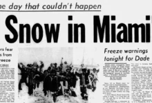 Miami News Record