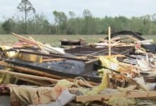 Allendale Sc News