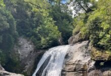 Chattooga News