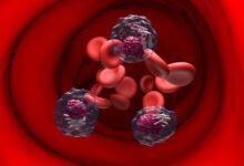 Cll News