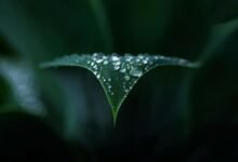 basement waterproofing tips guide