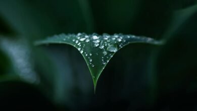 basement waterproofing tips guide