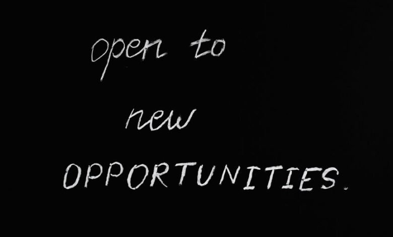 bookkeeping for growth opportunities