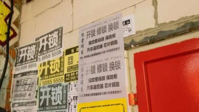 contact number service insight