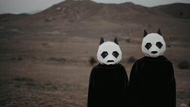 identity exploration of aaronryansells