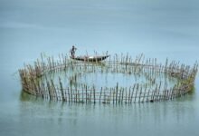 quality fishing boat enclosure benefits