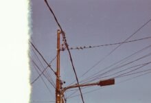 support line information inquiry