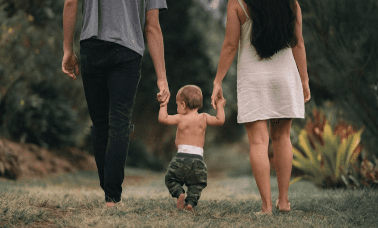 An Introduction to the Internal Family Systems (IFS) Model