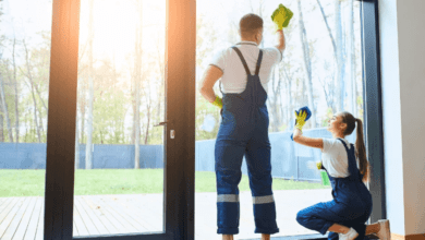 Professional Window Cleaning Services: Enhancing Clarity, Light, and Property Appeal