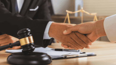 Navigating Borders with Confidence The Essential Role of Immigration Lawyers